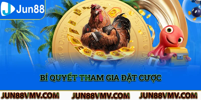 Bí quyết tham gia đặt cược đá gà Jun88 hiệu quả tại nền tảng